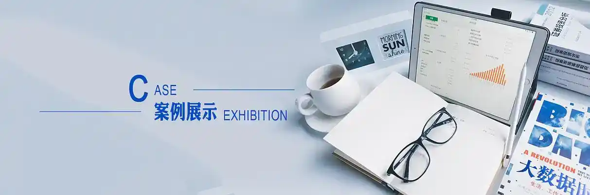 田林县软件开发
